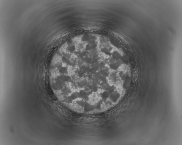 X0000112530917200909281035