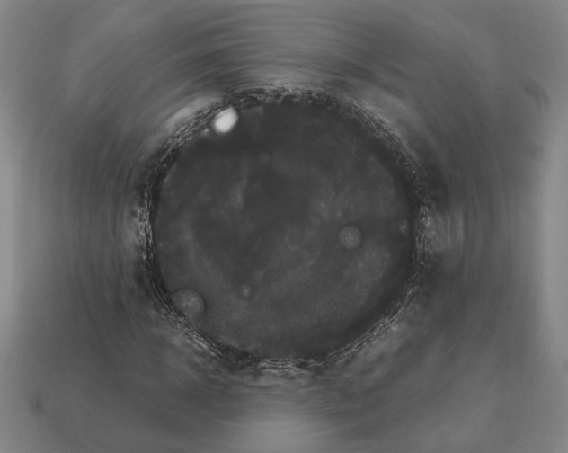 X0000112530918200909281035