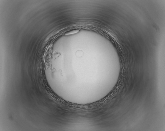 X0000112530920200909281035