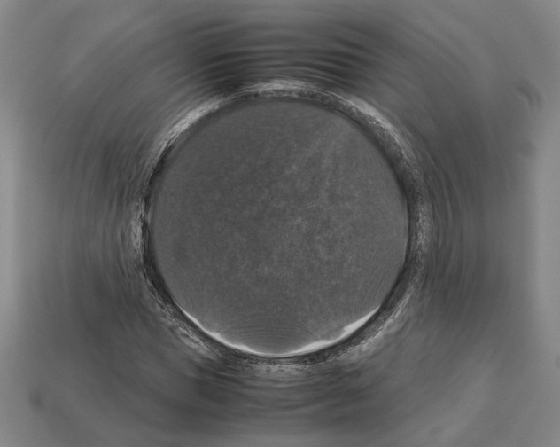 X0000112530921200909281035