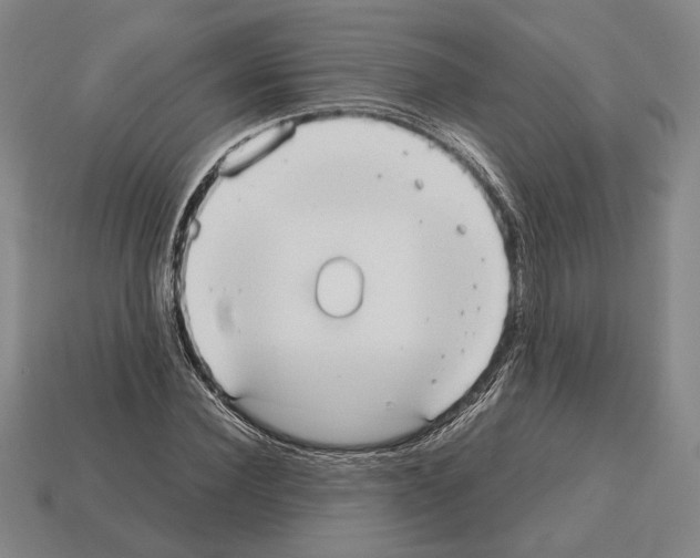 X0000112530924200909281035