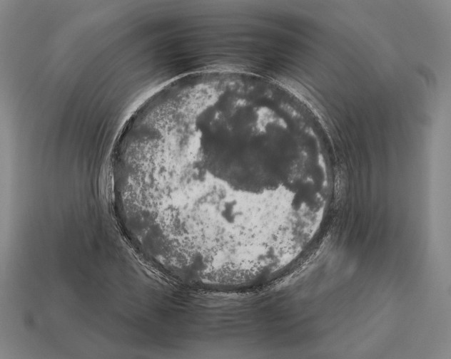 X0000112530925200909281035