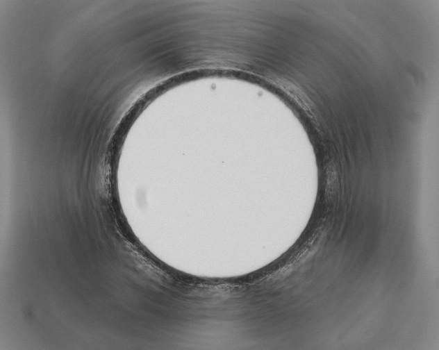 X0000112530926200909281035