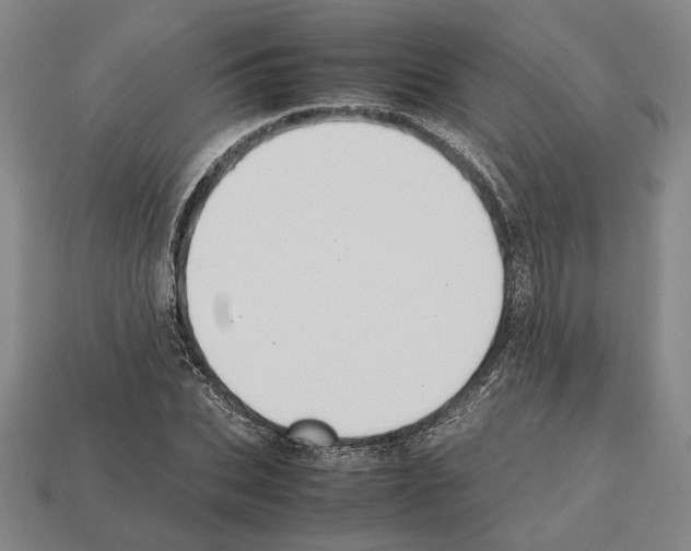 X0000112530927200909281035