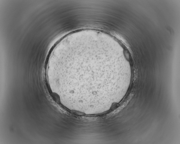 X0000112530928200909281035