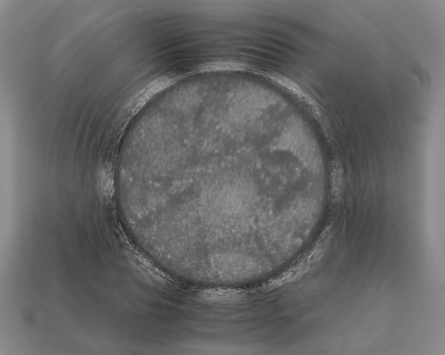 X0000112530929200909281035