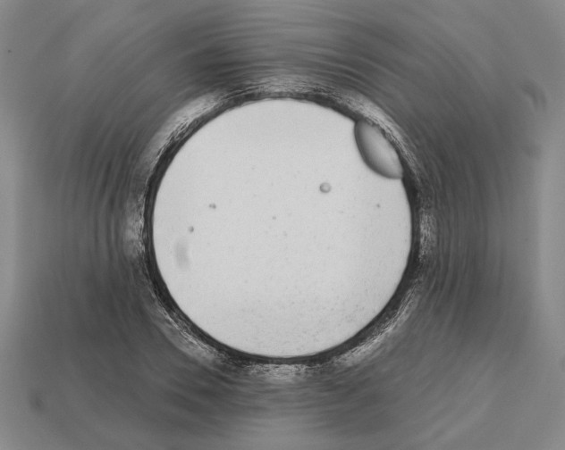 X0000112530930200909281035