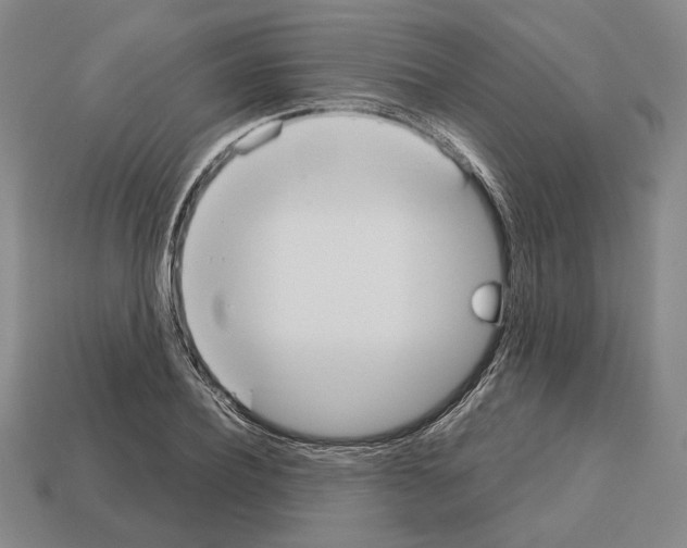 X0000112530932200909281035