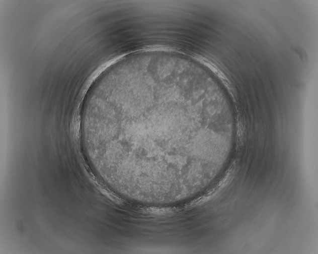 X0000112530933200909281035