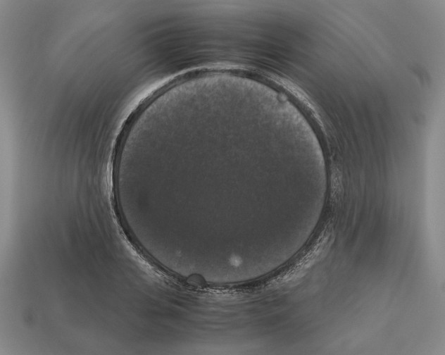 X0000112530935200909281035