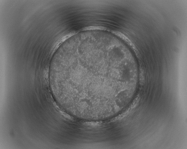 X0000112530937200909281035