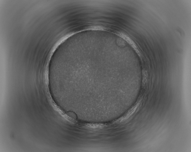 X0000112530939200909281035