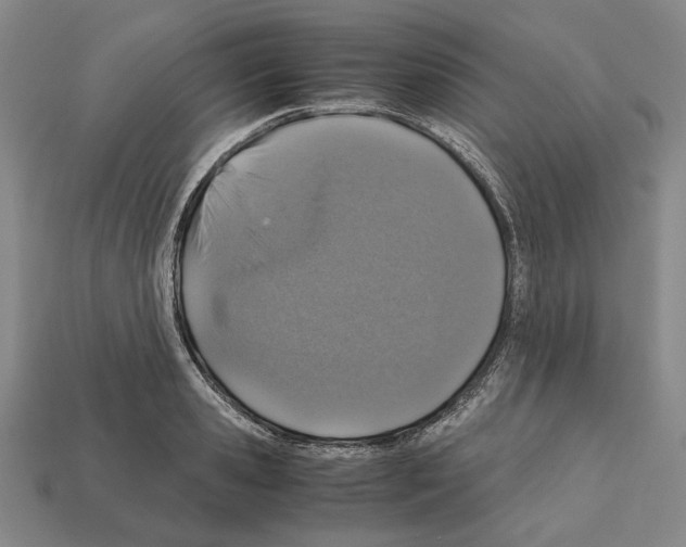 X0000112530941200909281035