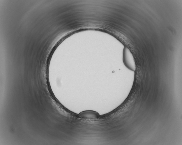 X0000112530942200909281035