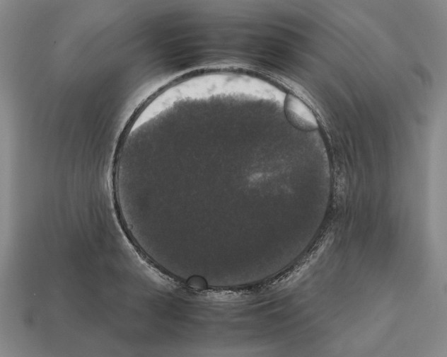 X0000112530943200909281035