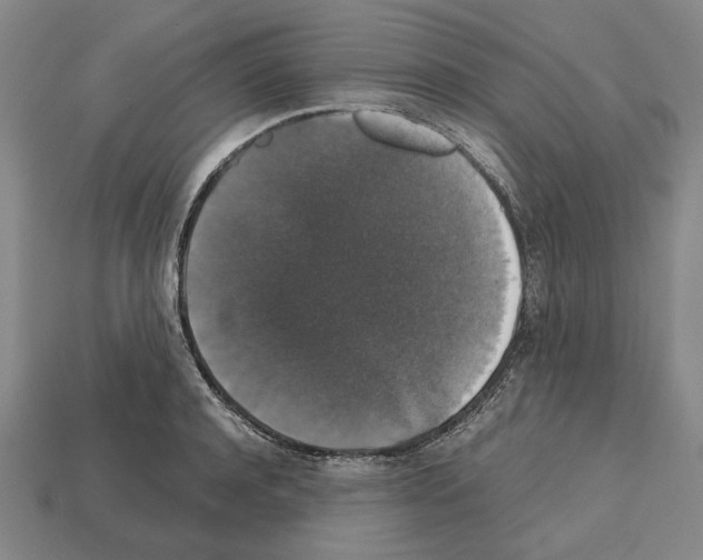 X0000112530944200909281035