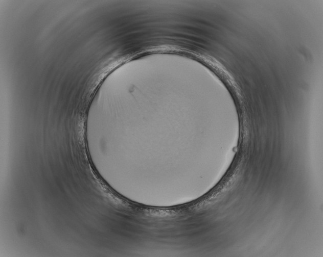 X0000112530945200909281035