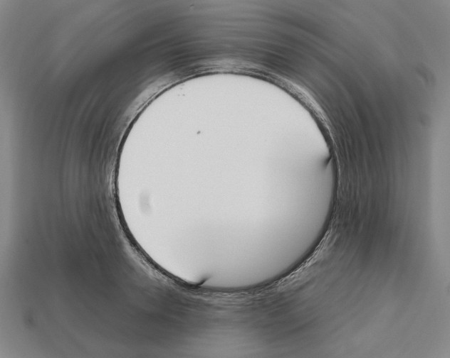 X0000112530946200909281035