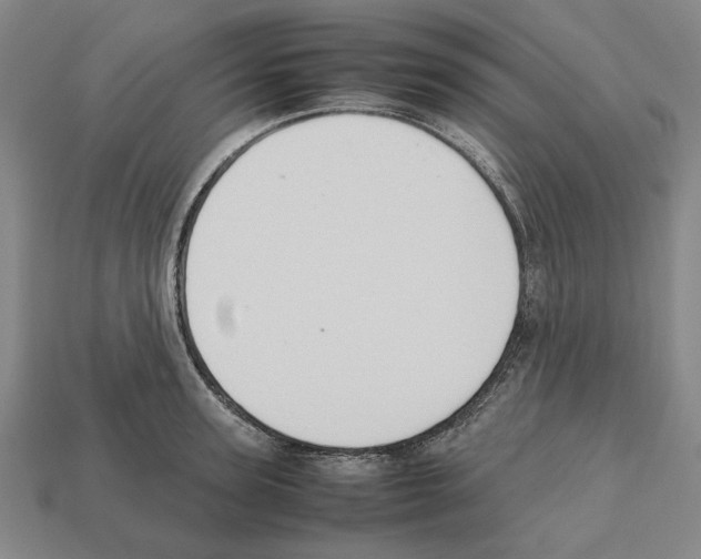 X0000112530947200909281035