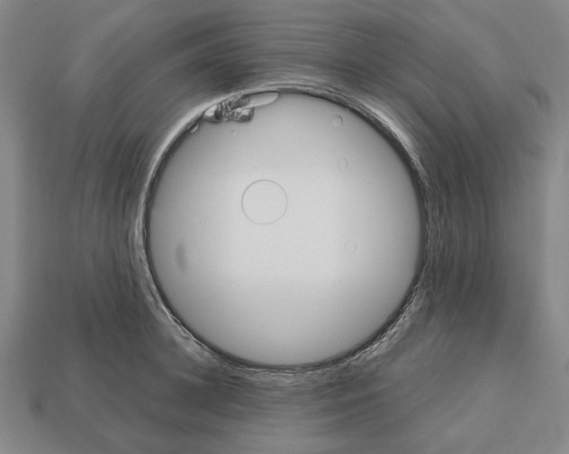 X0000112530948200909281035