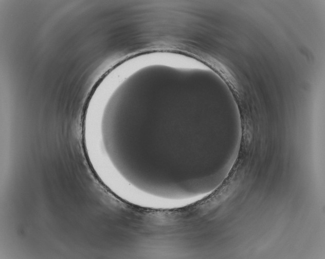 X0000112530950200909281035