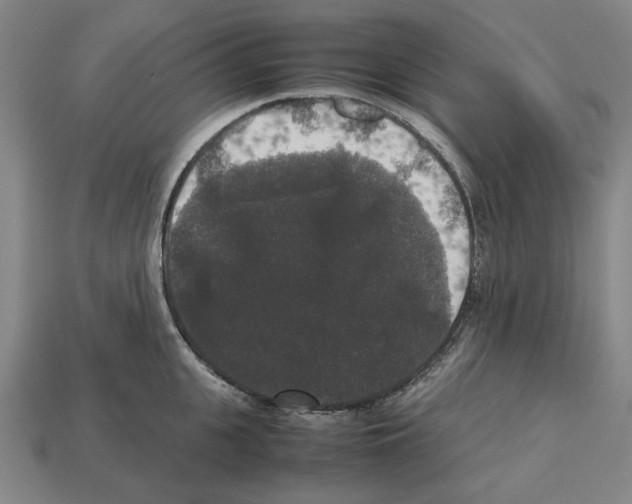 X0000112530951200909281035