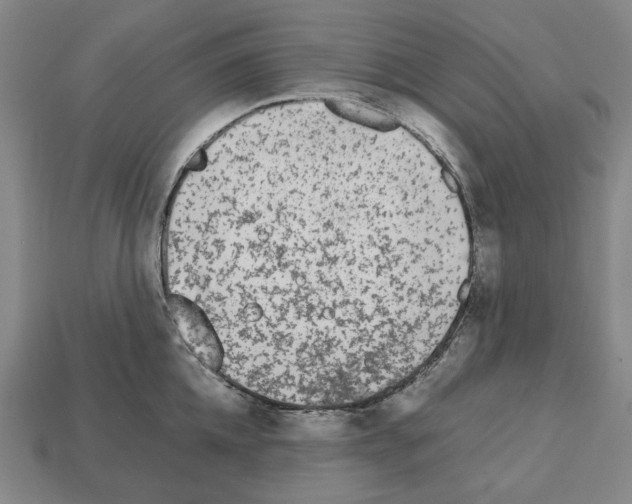 X0000112530952200909281035