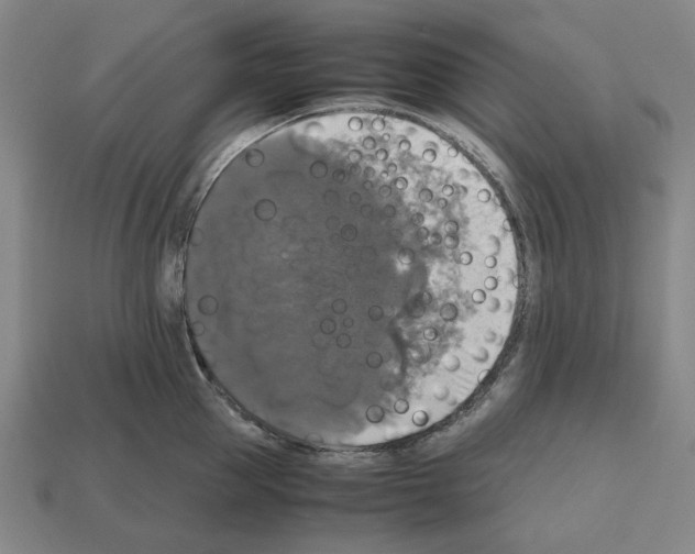 X0000112530953200909281035