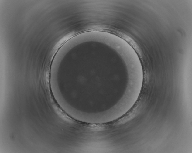 X0000112530954200909281035