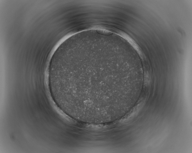 X0000112530955200909281035