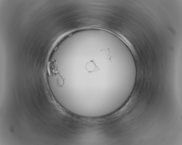 X0000112530956200909281035