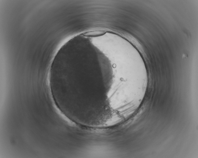 X0000112530958200909281035