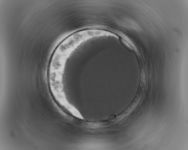 X0000112530959200909281035