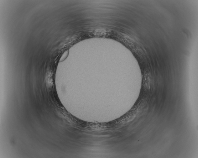 X0000112530962200909281034