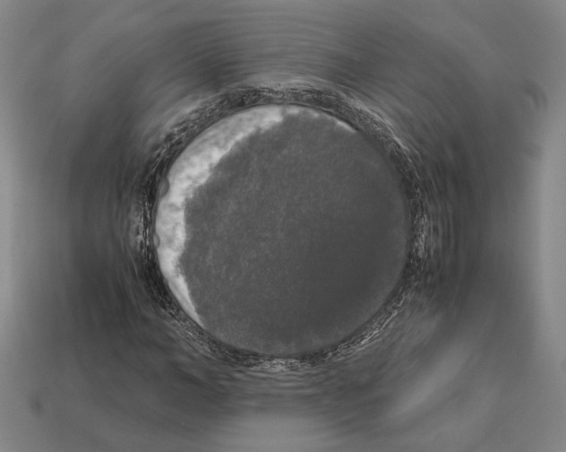 X0000112530966200909281034