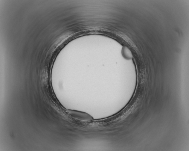 X0000112530969200909281034