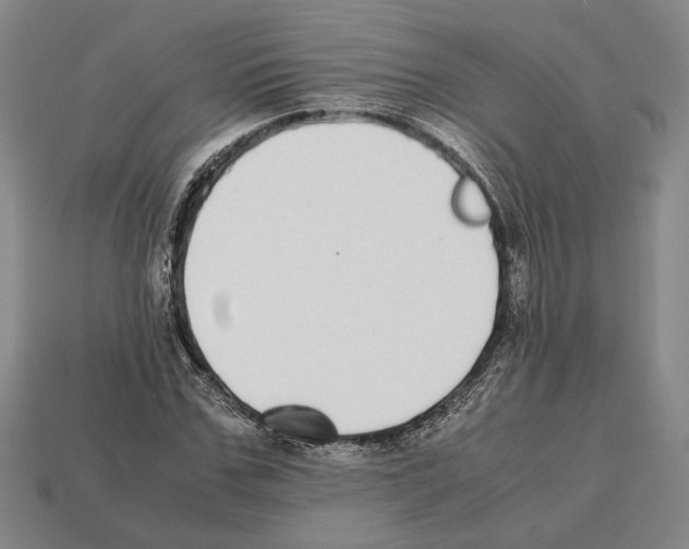 X0000112530971200909281034