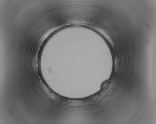 X0000112530972200909281034