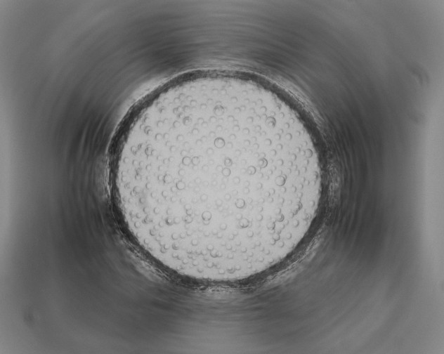 X0000112530974200909281034