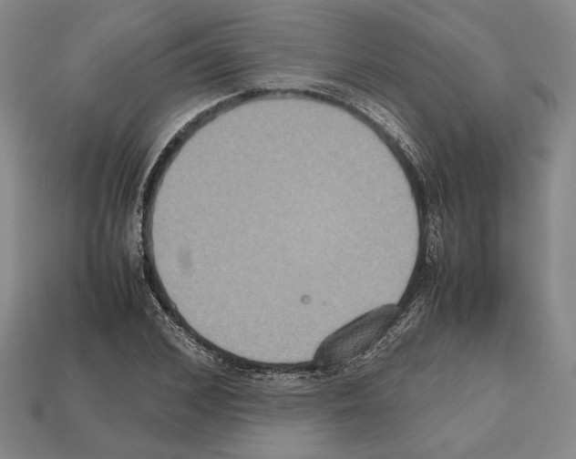 X0000112530976200909281034