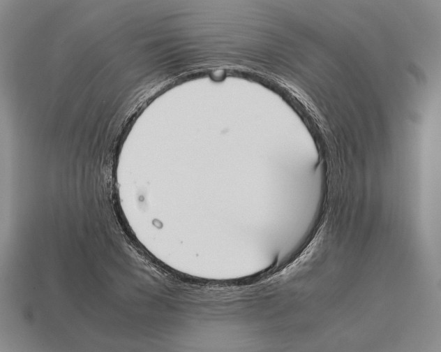 X0000112530977200909281034