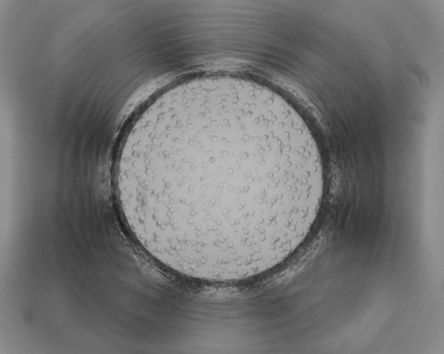 X0000112530978200909281034