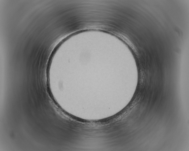 X0000112530980200909281034