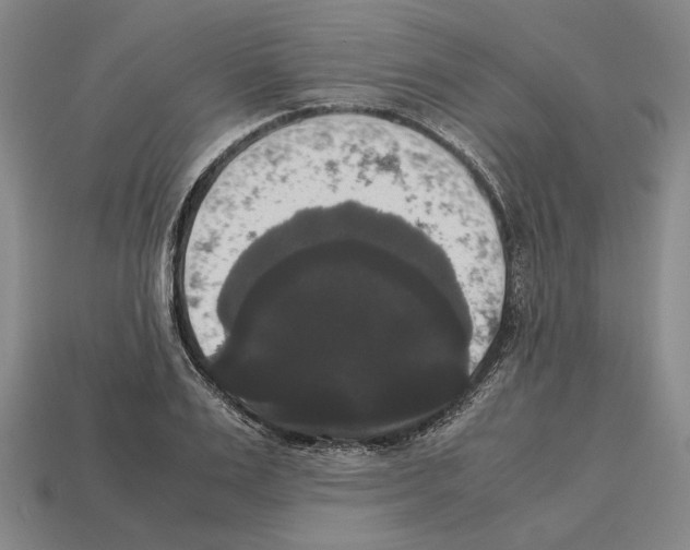 X0000112530983200909281034