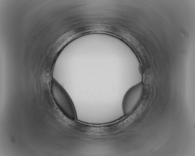 X0000112530985200909281034