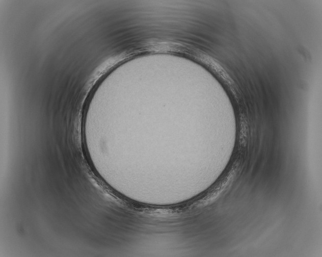 X0000112530986200909281034