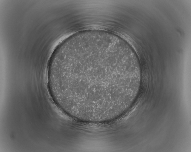 X0000112530987200909281034