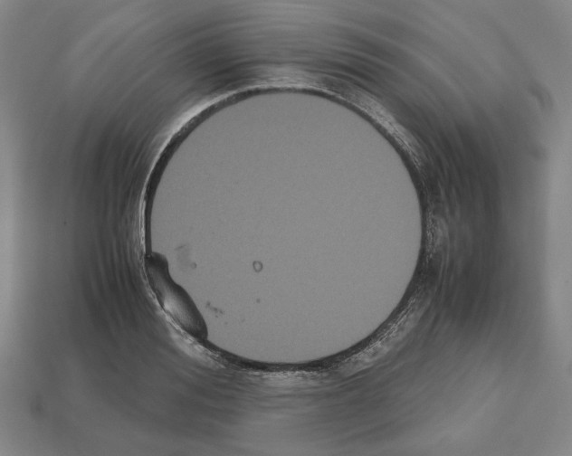 X0000112530988200909281034