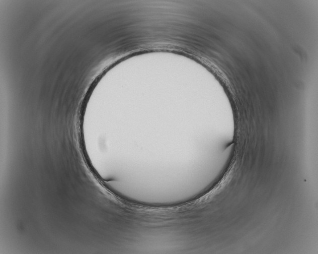 X0000112530989200909281034