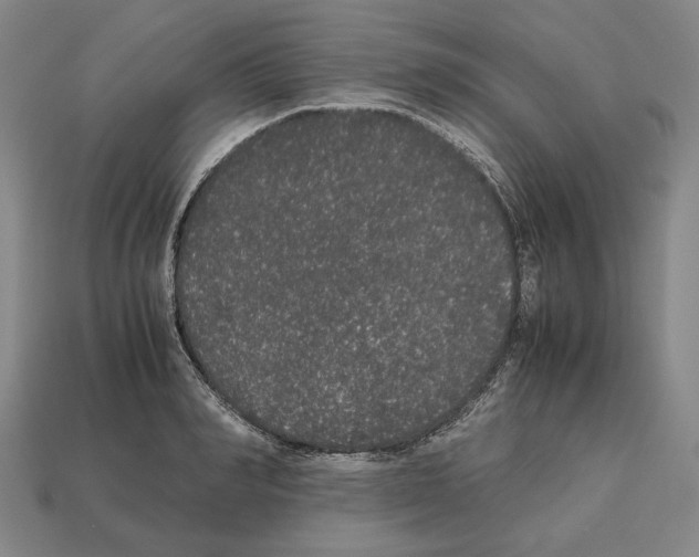 X0000112530990200909281034